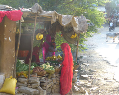 village de todgarh